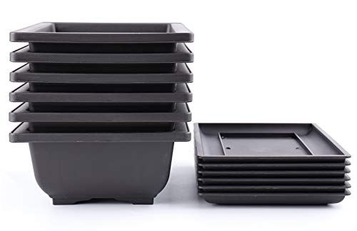 Yesland 6 Pack Bonsai Training Pots - 9 Inches Classic Deep Humidity Trays