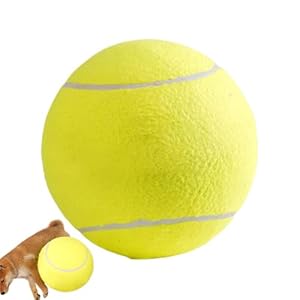 Generisch Hunde-Tennisbälle Kauspielzeug