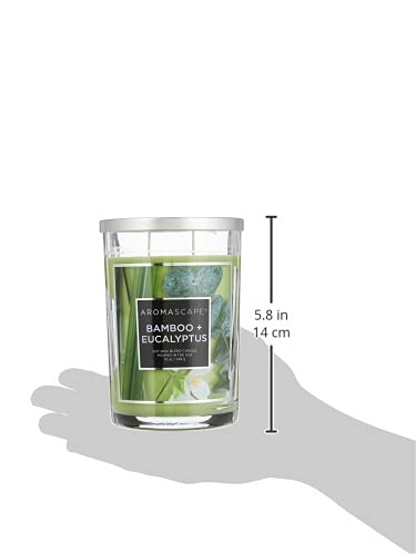 Aromascape PT41900 2-Wick Scented Jar Candle, Bamboo & Eucalyptus, 19-Ounce, Green - Image 4