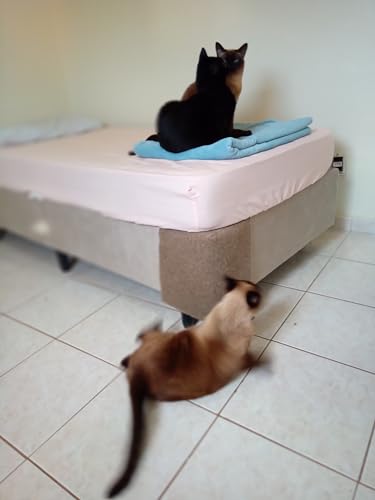 2 Arranhador para gato de canto de Cama Box em carpete resinado (Bege)