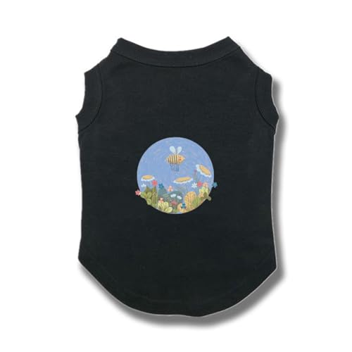 [XANPYO] ybg hbOEFA xXg Ăh Eѕی t@bV ƒ U ʋC Lk y  ybg tĕ іh~ ?Oh ubN XS EȒP  t   lGʗp h~