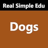 west highland terrier kaufen niedersachsen Quiz yourself to see how much information you retained