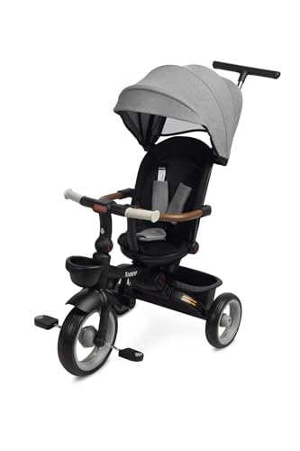 TOYZ - Triciclo Evolutivo para Niños Saber - Bicicleta de 3 Ruedas para Niños y Niñas - Bicicleta Infantil con Respaldo y Cinturón de Seguridad - 51x104x101 cm - Gris
