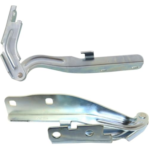 VIRAZE 2pcs Hood Hinges Set Assembly Left Driver and Right Passenger Side Pair 14140952 AG1Z16797A FO1236163