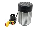 SECURA Elektromotor 230V + Schalter kompatibel mit Racing RACFBE7T55 Holzspalter