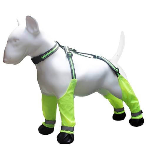 ~߃ybgu[cTXy_[OCveN^[EH[LOjOCnCLOMX~