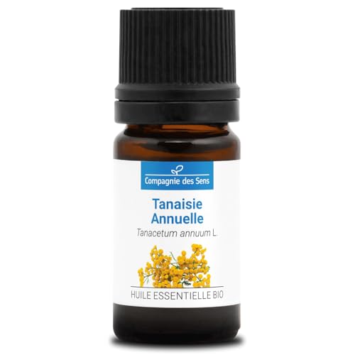 Tanaceto Azul - 5 Ml - Aceite Esencial Orgánico - 100 Puro, Natural, Quimiotipado Y Certificado Ab Tanaceto Azul - 5 Ml - Aceite Esencial Orgánico - 100 Puro, Natural, Quimiotipado Y Certificado Ab