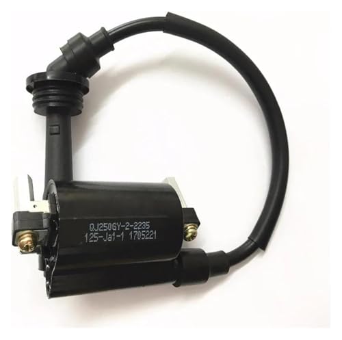 Bobina de encendido y llave para motos TNT250, BN250 y TNT25
