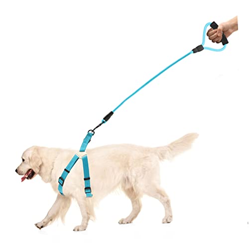 1 Jeu la Laisse du Chien Dog Leash Dog Harness collerettes pour Chiens Dog Collar Colliers pour Chiens Animaux Ceinture Promener Le Chien Sangle Nylon - Image 7