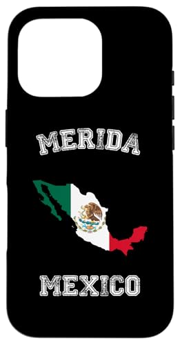 ���L�V�R �A���e�B�[�N���̊� �����_�v���C�h �X�}�z�P�[�X iPhone 16 Pro �p