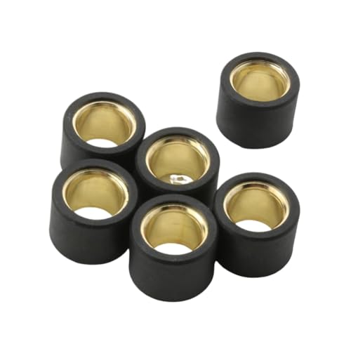 Rouleau de variateur 21x17mm poids 13g galet de transmission Runner VXR 200 Nexus 250 300