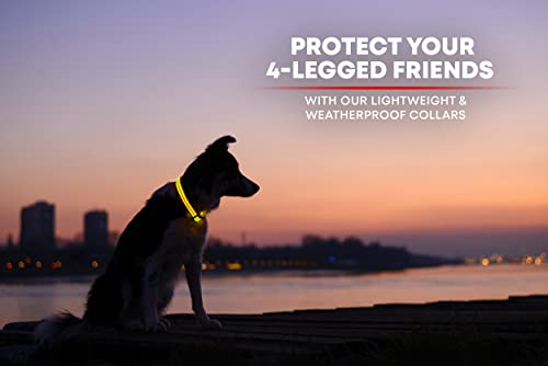 ILLUMISEEN LED Dog Collar USB Rechargeable - Bright & High Visibility Lighted Glow Collar for Pet Night Walking - Weatherproof, in 6 Colors & 6 Sizes (Yellow Small)