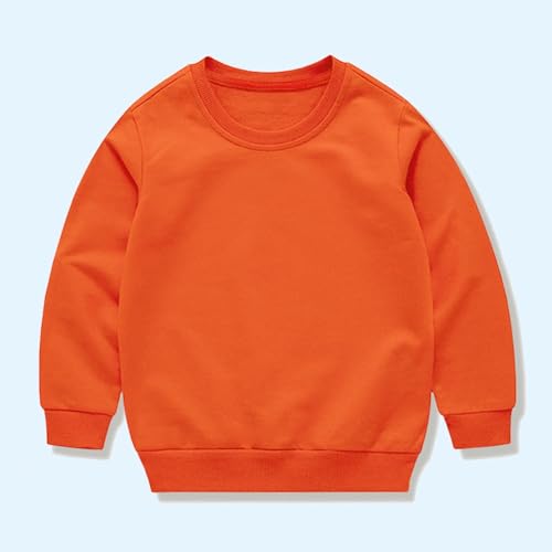 Unisex Kids Crewneck Sweatshirt Casual Long Sleeve Cotton Thin Pullover T-Shirt 2025 Fall Season Tops For Boy and Girl2