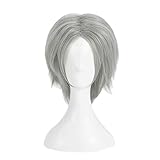 ROFYE Uearlid Anime Wig Devil May Cry 5 Cosplay Dante Wig,Short Silver Wig,Costume Halloween Wig,For Halloween,Costume Party,Anime Show,Cosplay Event,Concerts Coser Wig