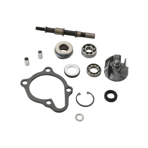 Plus de surchauffe avec le kit de réparation pompe à eau BWS 250cc 300cc - 3