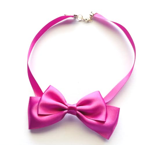 i쎛/yMhjy`[J[b1zVv`[J[{y [^ ߂킢 SX `[J[ RXv ʎY^ nn  ZNV[z (sN)