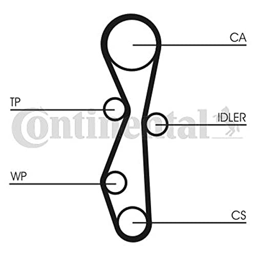 Courroie crantée Continental Contitech CT1091 stop usure distribution - 3