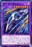Amazon.co.jp: 遊戯王OCG 真紅眼の黒竜剣 (レッドアイズ・ブラック