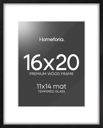 Homeforia 16x20 Wood Frame with Matte Black Finish