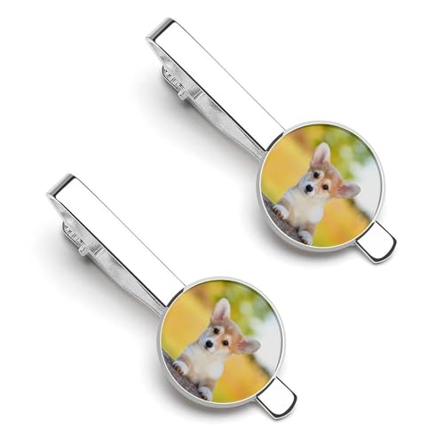 lN^Cs 2{Zbg R[M[ Aj}  F ^C^bN ߑANZT[ am   w d rWlX  ̓ Y j v[g