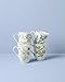 Lenox 897911 Butterfly Meadow Herbs Mugs, Set Of 4