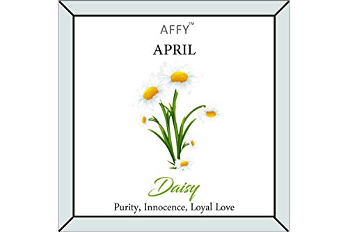 April Birth Month Daisy Flower Disk Pendant Necklace In Rose Gold Plated Jewelry For Womens 18" Chain #TOP1
