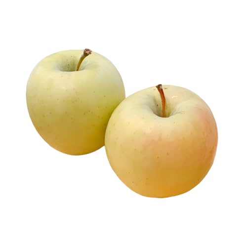 [2026年1月上旬以降発送]シナノゴールド3kg