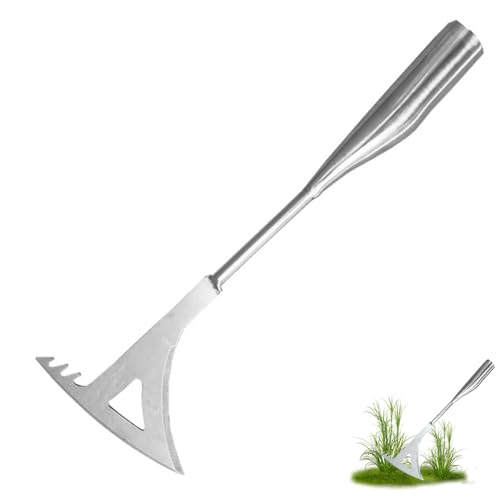 Rascador de juntas para malas hierbas, dispositivo de eliminación de malas hierbas, de acero inoxidable, para eliminar malas hierbas y musgo