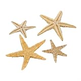 Utilisations multiples : ces charmantes étoiles de mer peuvent être utilisées dans les travaux manuels en résine, la conception de bijoux, la fabrication de bougies et comme remplissage décoratif dans les aquariums