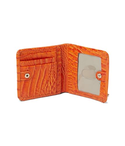 Image of Brahmin womens Jane