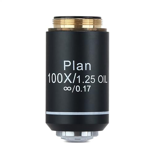 ώ@ 100X 195 vΕY RMS 20.2mm C^[tF[X AN}[g ΕY p