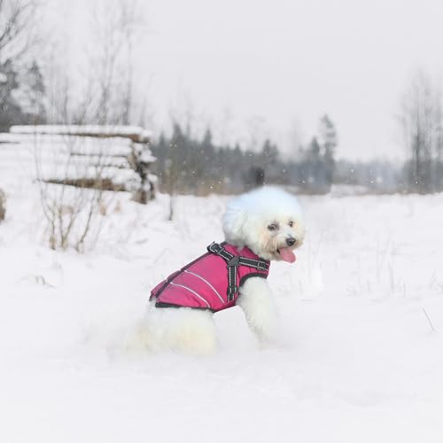 Mitili Warme Hundemantel Wasserdicht mit Geschirr, Reflektierend Hundejacke Winter für Kleine und Mittlere Hunde, Winddichte Hunde Wintermantel, Outdoor Hundeweste (Rosa, M)