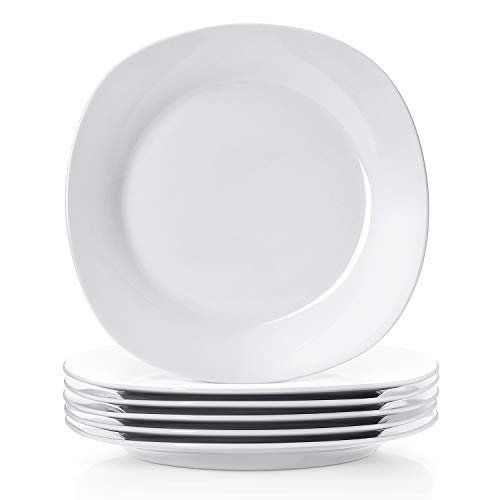 Y YHY White Dinner Plates, 10.5