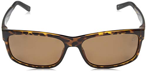 Timberland TB9104 Dark Havana/Brown Polarized One Size2
