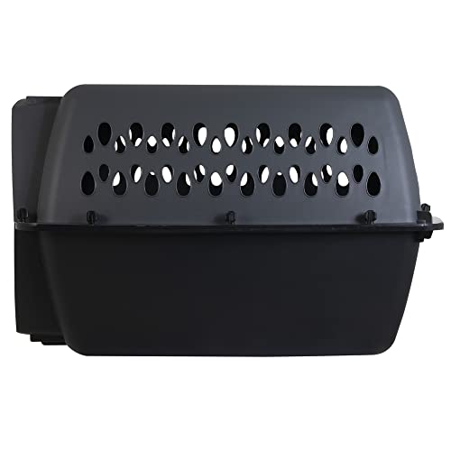 Perro, Pet Products Imagen adicional