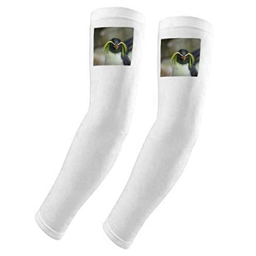 Manchons protection UV Antarctique science nature manchon soleil bras