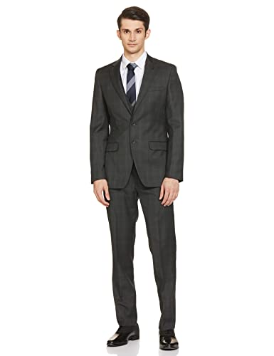 Image of Raymond Men Suit