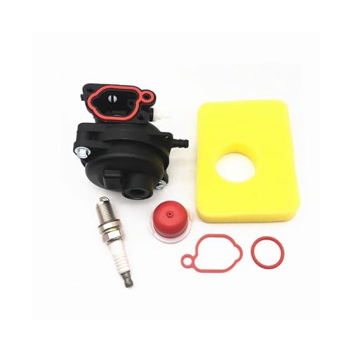 Carburateur de tondeuse Briggs Stratton résout problème démarrage moteur 450E