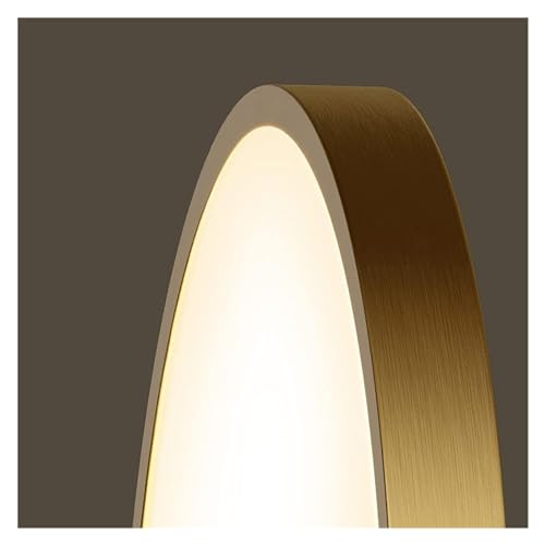 Plafonnier d'intérieur LED pour éclairer une pièce sombre
