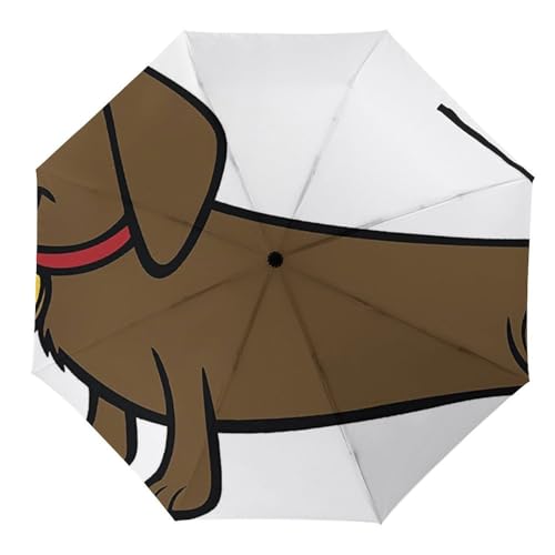 Parapluie résistant au vent teckel pliable pour rester au sec