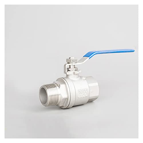 Vanne à boisseau sphérique 1" inox 304 femelle mâle BSPT eau gaz huile jardin