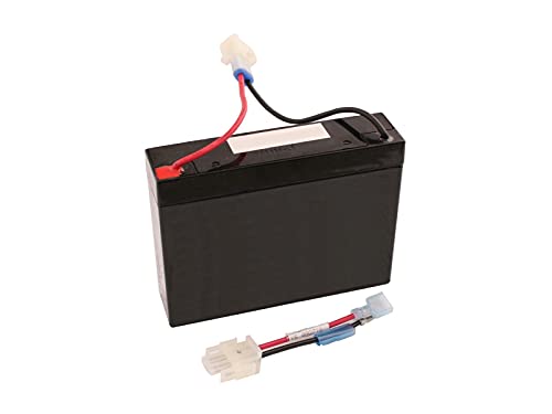 SECURA Batterie 12V 2,8Ah compatible avec McCulloch M95-66X 960210023 Tracteur de pelouse