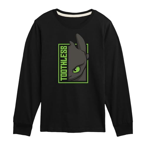 How to Train Your Dragon - Toothless - Toddler & Youth Long Sleeve Graphic T-Shirt