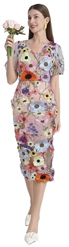 LAI MENG FIVE CATS Women's 3D Floral Puff Sleeves V-Neck Mesh Emb...