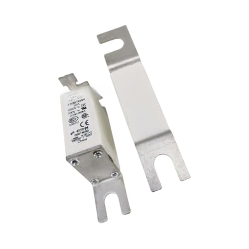 Fusible 170M1410 évite les pannes de surtension sur circuits 170M1408 et 170M1409