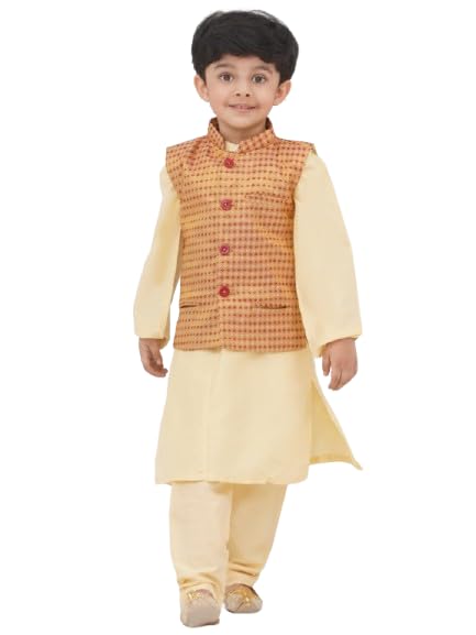 Boys Mandarin Collar Nehru Jacket. (BNJ50020203) (Brown) (02-03 Years)