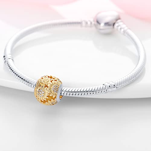 Pandach 925 Sterling Silver Charms for Bracelets Necklace with 5A CZ Stones Dangle Pendant Bead Jewelry Beads Gifts for Women2