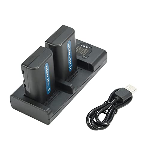 Batteria di ricambio (2 pezzi) e caricabatterie