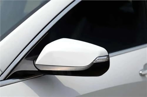 Couvercle boîtier rétroviseur Malibu XL en carbone protection anti-rayures