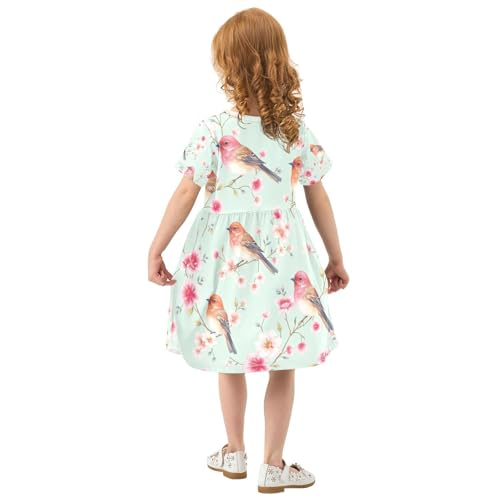 Girls Short Sleeve A Line Dress with Birds Watercolor Print Toddler Summer Clothes, 2T3
